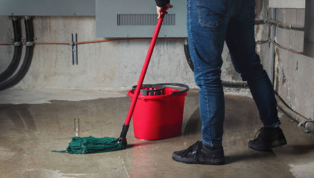 Best Flood restoration services  in Paducah, KY