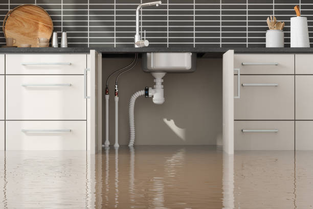 Best 24/7 water damage repair  in Paducah, KY