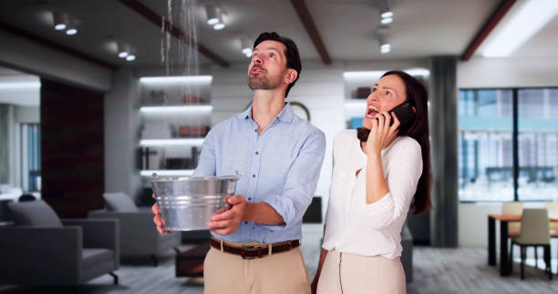 Best Mold removal after water damage  in Paducah, KY